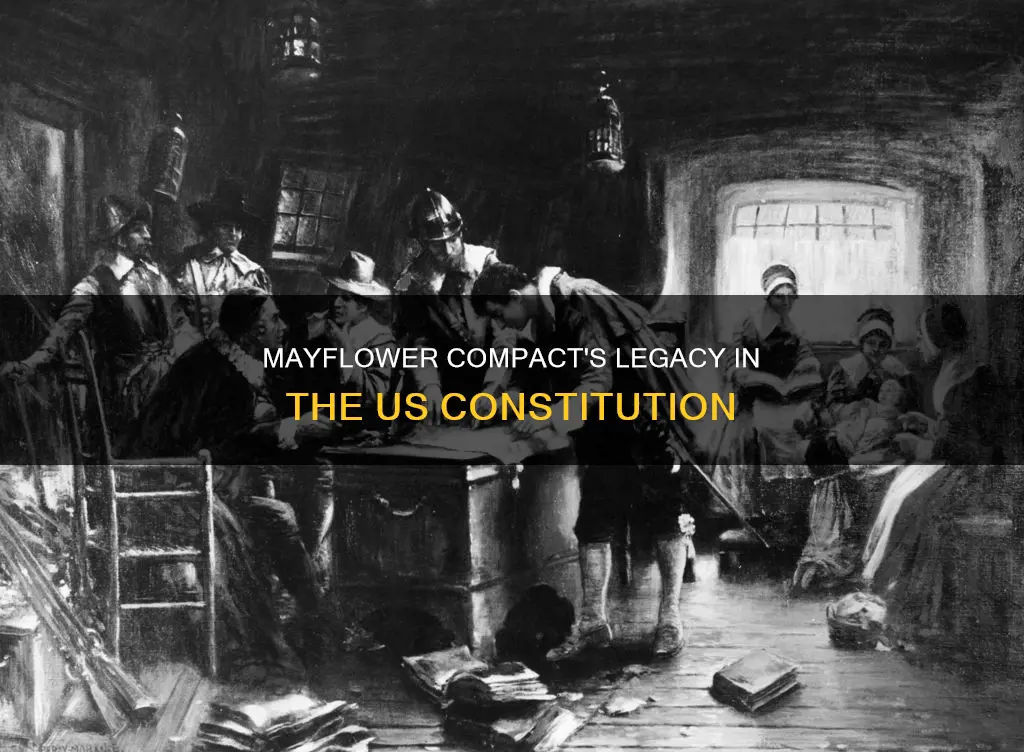 which political idea from the mayflower compact influence the constitution