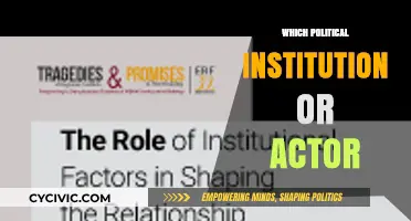 Which Political Institution or Actor Shapes Policy Most Effectively?