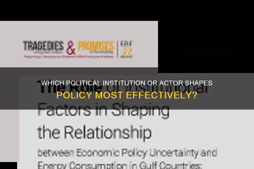 which political institution or actor
