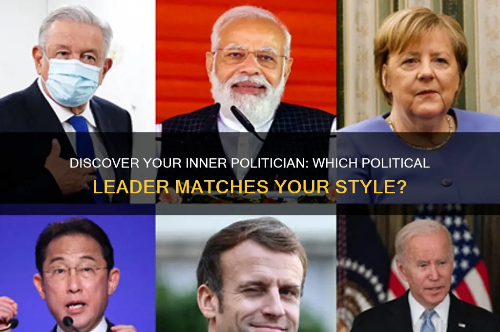 which political leader are you
