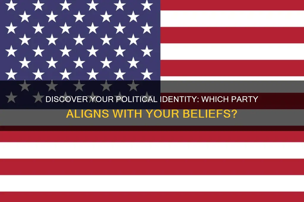 which political part am i