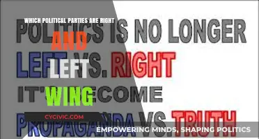 Understanding Political Ideologies: Identifying Right and Left-Wing Parties Globally