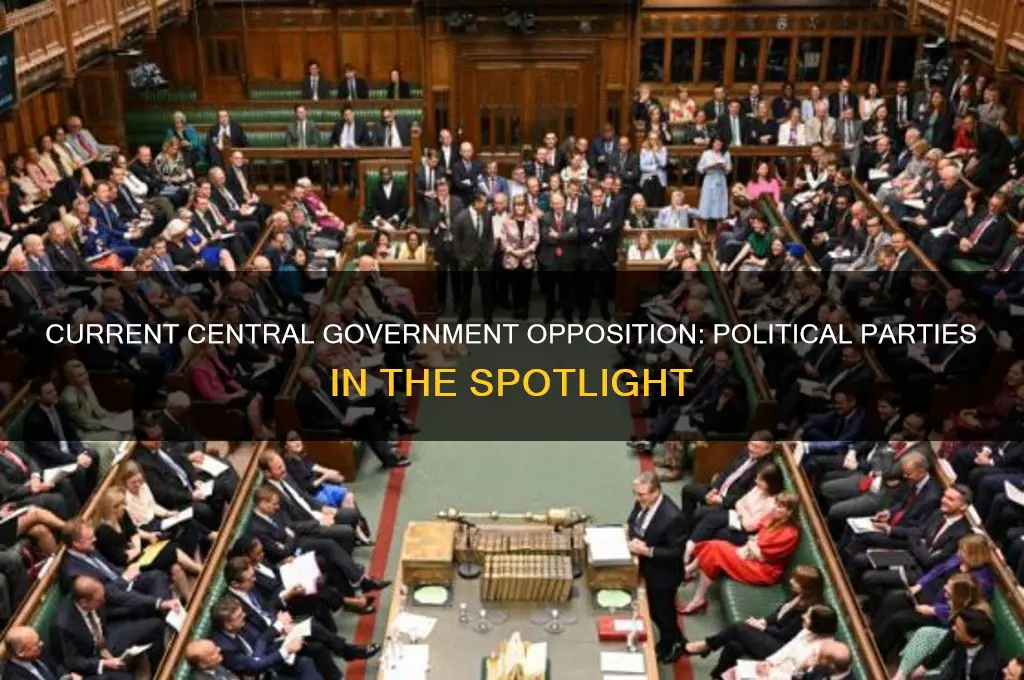 which political parties currently form the opposition in central government