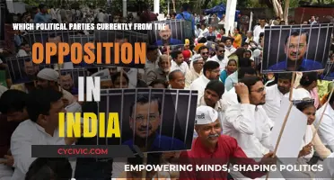 India's Opposition: Key Political Parties Shaping the Counter-Narrative