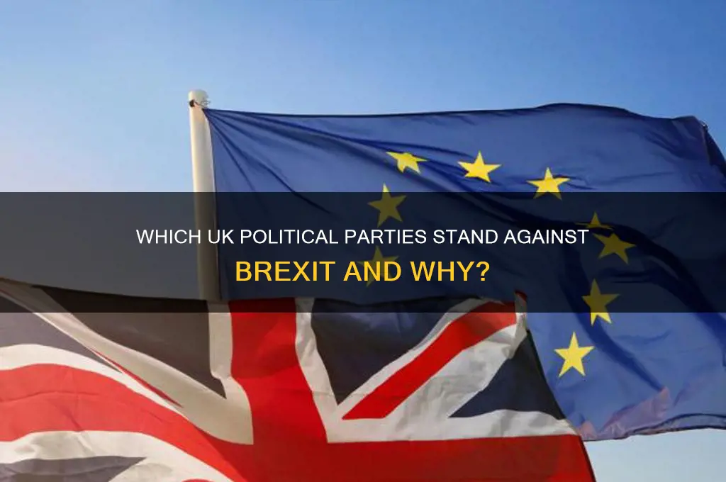 which political parties oppose brexit