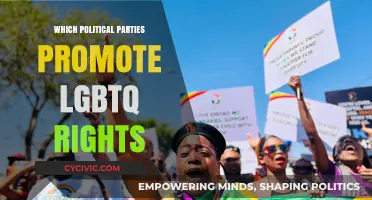 LGBTQ+ Advocacy: Political Parties Championing Equality and Inclusion Globally