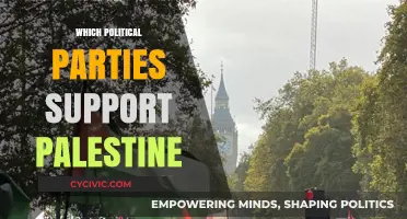 Global Political Parties Backing Palestine: A Comprehensive Overview