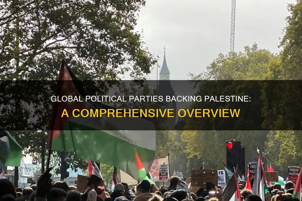 which political parties support palestine
