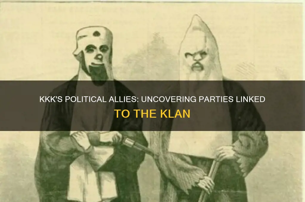 which political parties supported kkk
