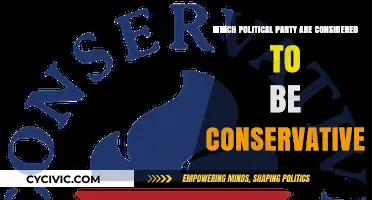 Understanding Conservative Politics: Which Parties Align with Traditional Values?