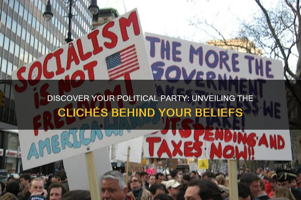 which political party are you clichole