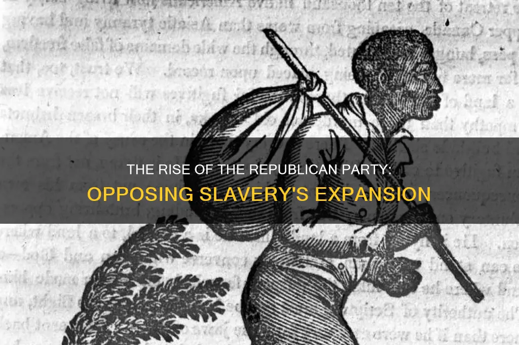 which political party arose to oppose the spread of slavery