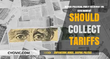 Tariffs and Political Beliefs: Which Party Advocates for Government Collection?