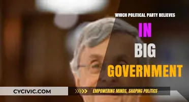 Big Government Advocates: Which Political Party Champions Extensive State Control?