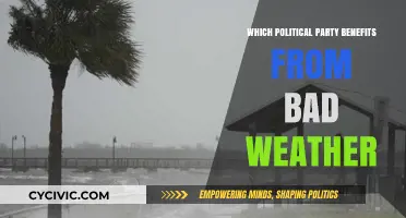 Stormy Skies, Political Gains: How Bad Weather Influences Party Success