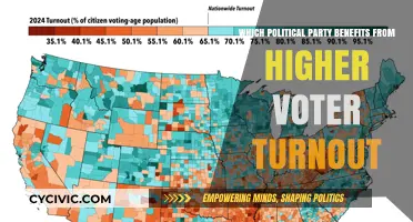 Higher Voter Turnout: Which Political Party Gains the Most?