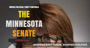 Minnesota Senate Control: Which Political Party Holds the Majority?