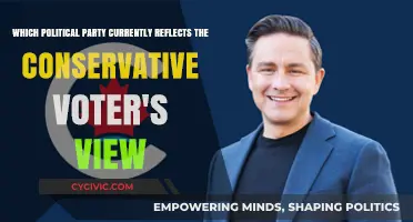 Which Political Party Best Represents Conservative Voters Today?