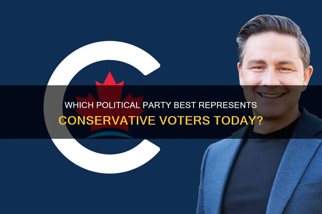 which political party currently reflects the conservative voter