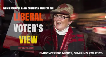 Liberal Voters' Alignment: Which Party Truly Represents Their Core Values?