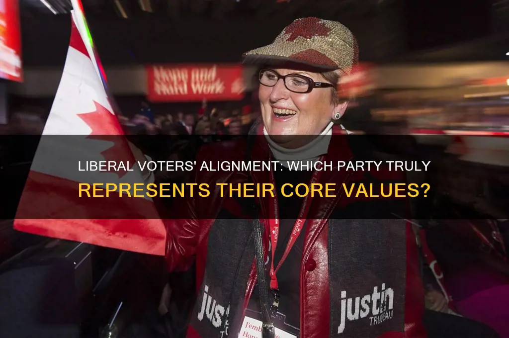 which political party currently reflects the liberal voter