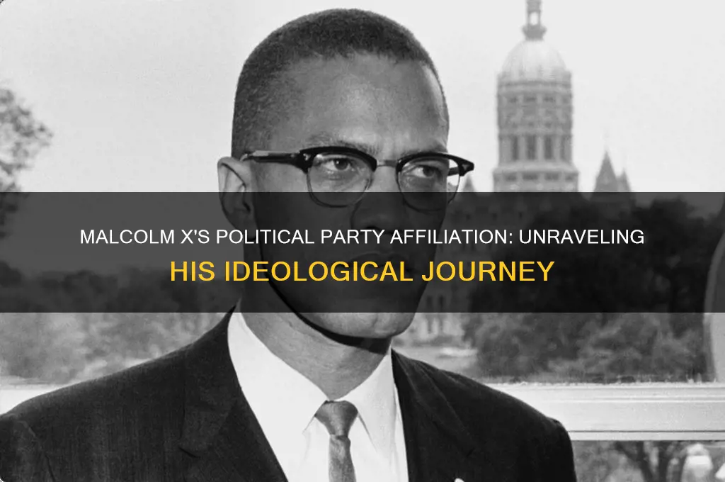 which political party did malcom x belong