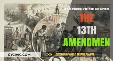 The Surprising Opposition to the 13th Amendment: A Party's Stance
