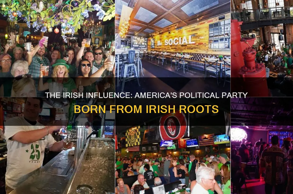 which political party did the irish create in america
