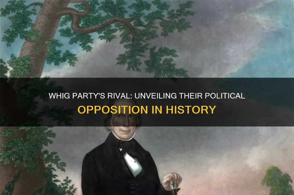 which political party did the whig party oppose