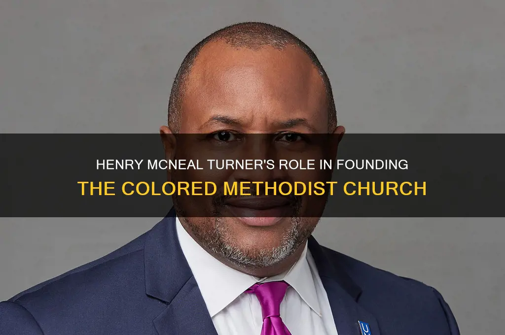 which political party didc henry mcneal turner help start