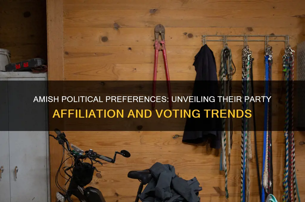 which political party do amish favor