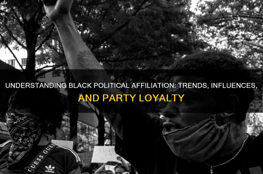 which political party do black people follwo