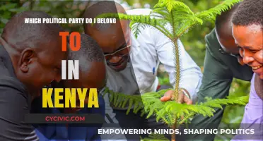 Discover Your Kenyan Political Party Match: A Comprehensive Guide