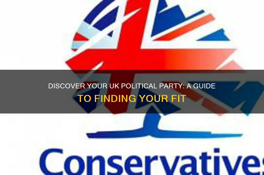 which political party do i belong to uk