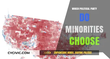 Minority Voting Patterns: Which Political Party Earns Their Support?