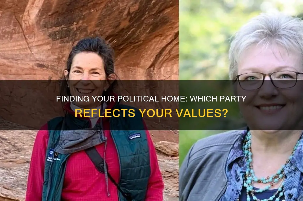 which political party do you identify with