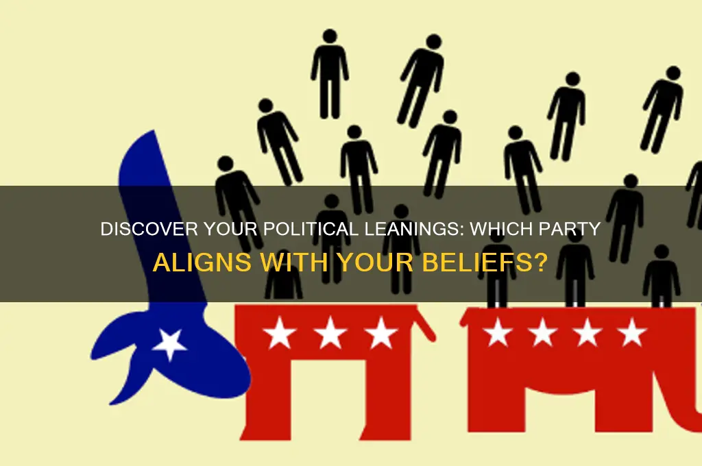 which political party do you side with