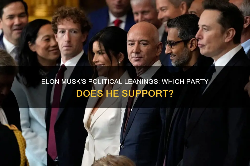 which political party does elon musk support