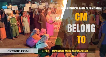 Mizoram Chief Minister's Political Affiliation: Unveiling the Party