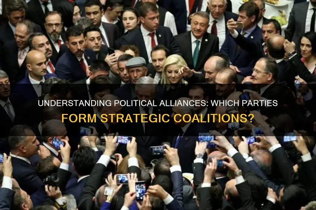 which political party does political alliance