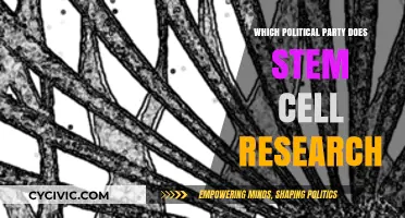 Stem Cell Research: Which Political Party Supports Scientific Advancement?