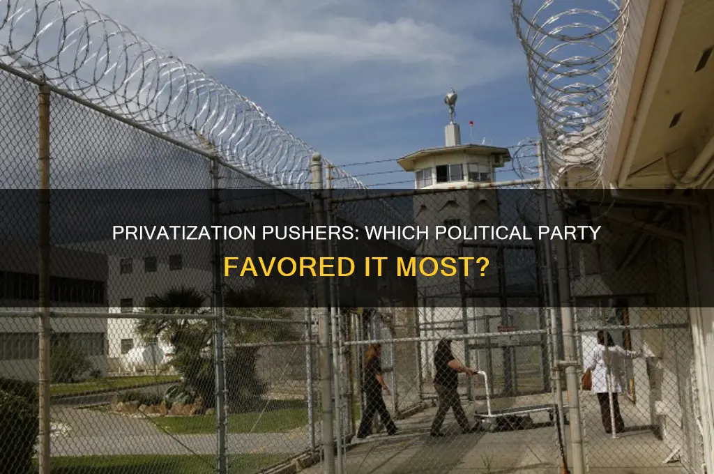 which political party favored the use of privatization the most