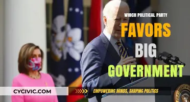 Big Government Advocates: Which Political Party Supports Extensive Federal Control?