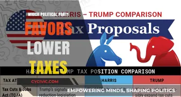 Lower Taxes: Which Political Party Champions Tax Cuts?