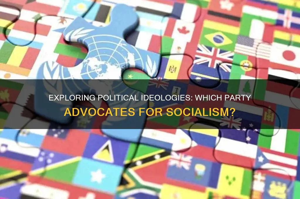 which political party favors socialism
