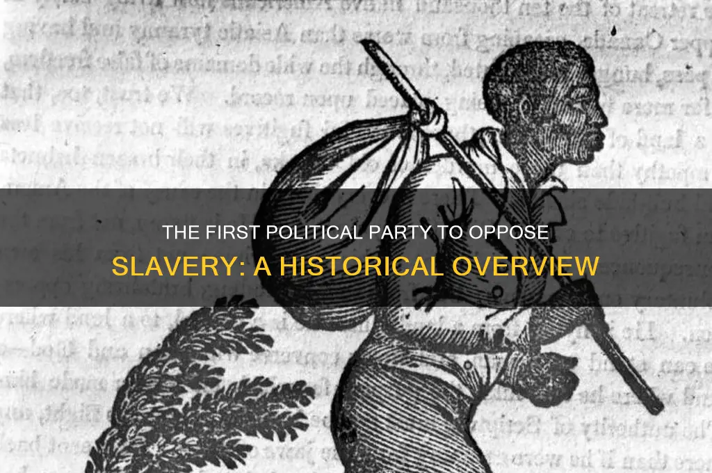 which political party first took a stand against slavery