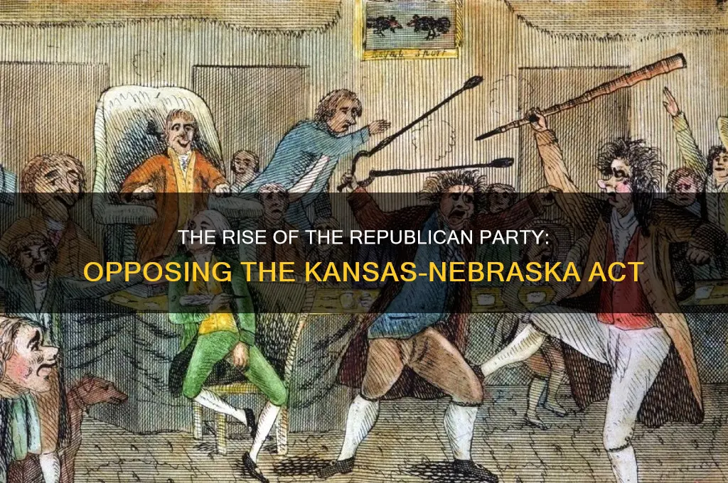 which political party formed in opposition to the kansas-nebraska act