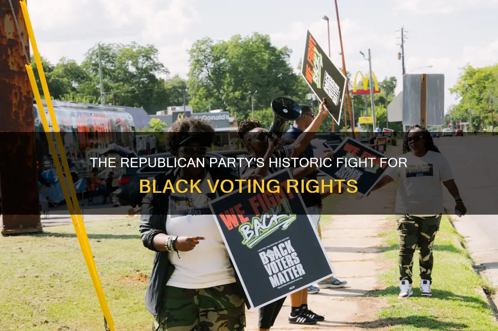 which political party fought for blacks right to vote