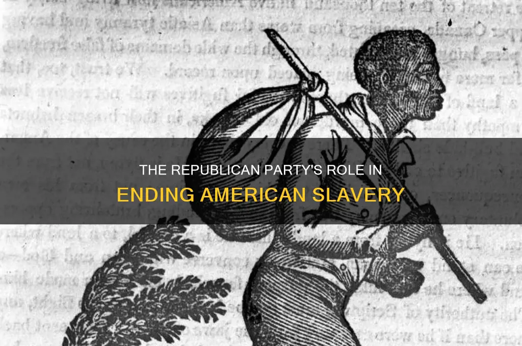 which political party freed slavery