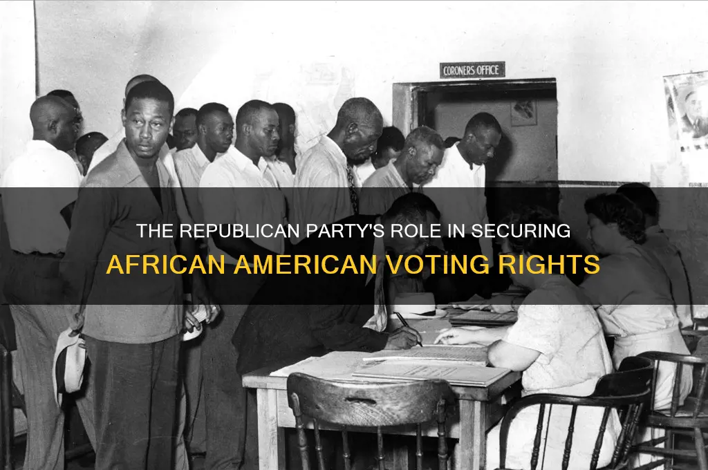 which political party gave african american the right to vote
